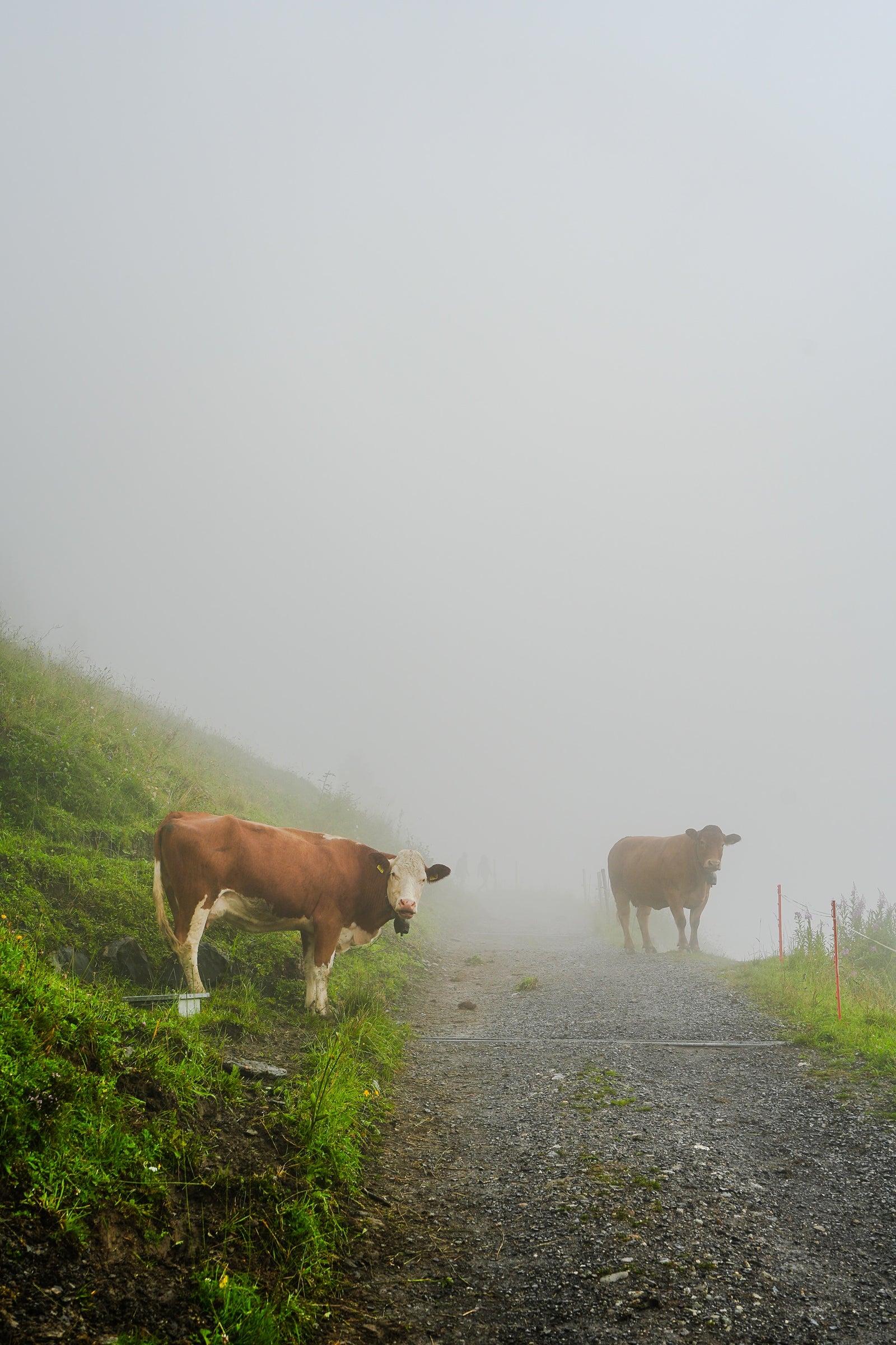 untitled 01 gimmelwald